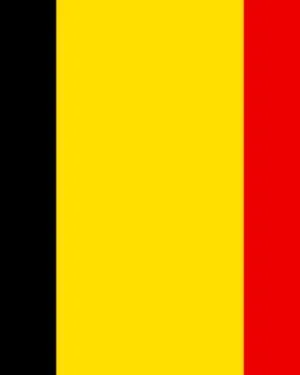 Belgium Business Contact List – Fresh Targeted B2B Leads