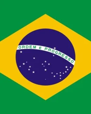Brazil Forex Traders Email List – 1.6M+ Contacts Database | LeadsBlue