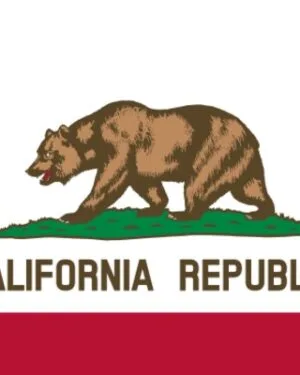 California Business Email List – 3.2M+ Contacts Database | LeadsBlue