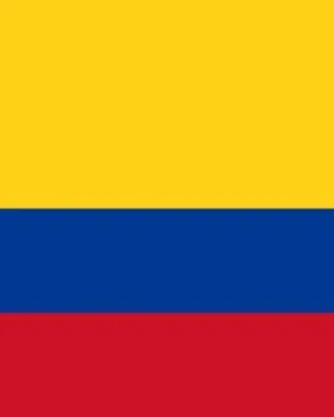 Colombia Consumer Email List – 3.0M+ Contacts Database | LeadsBlue