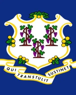 Connecticut Business Contact List – 245K+ Contacts Database | LeadsBlue