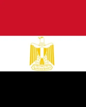 Egypt Consumer Email List – 24.0M+ Contacts Database | LeadsBlue