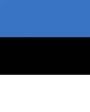 Estonia Business Contact List – 273K+ Contacts Database | LeadsBlue