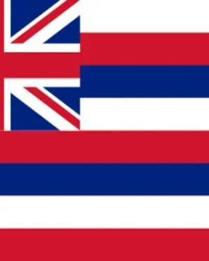 Hawaii Business Email List – 399K+ Contacts Database | LeadsBlue