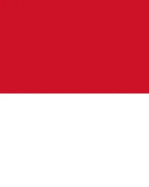 Indonesia Consumer Email List – 1.0M+ Contacts Database | LeadsBlue