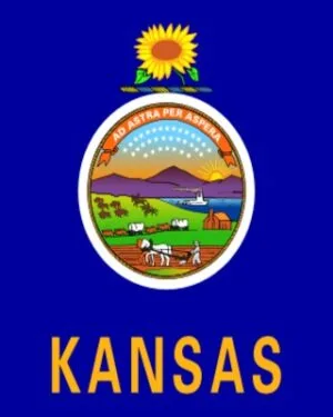 Kansas Business Email List – 101K+ Contacts Database | LeadsBlue