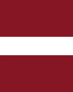 Latvia Consumer Email List – 11.0M+ Contacts Database | LeadsBlue
