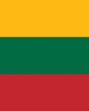 Lithuania Business Email List – 7k+ Targeted B2B Leads
