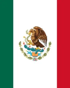 Mexico Consumer Email List – 2.9M+ Contacts Database | LeadsBlue