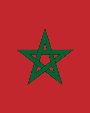 Morocco Business Email Database – 104K+ Contacts Database | LeadsBlue