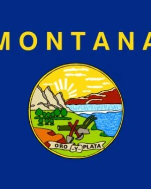 Montana Business Email List – 95K+ Contacts Database | LeadsBlue