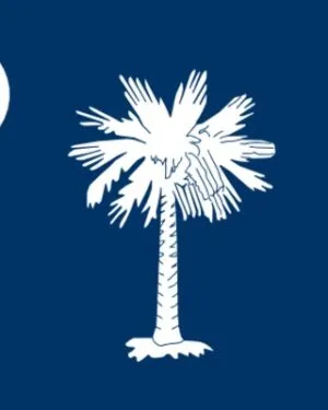 USA State South Carolina Business Email List and Sales Leads Database