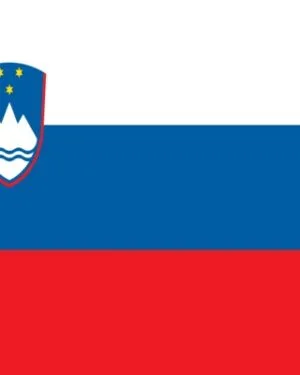 Slovenia Consumer Mailing List – 2.2M+ Contacts Database | LeadsBlue