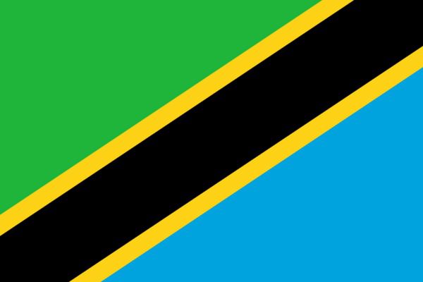 [NEW] Tanzania Consumer Email List and Sales Leads Database