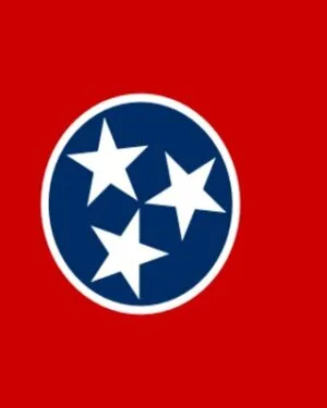 Tennessee Business Email List – 690K+ Contacts Database | LeadsBlue