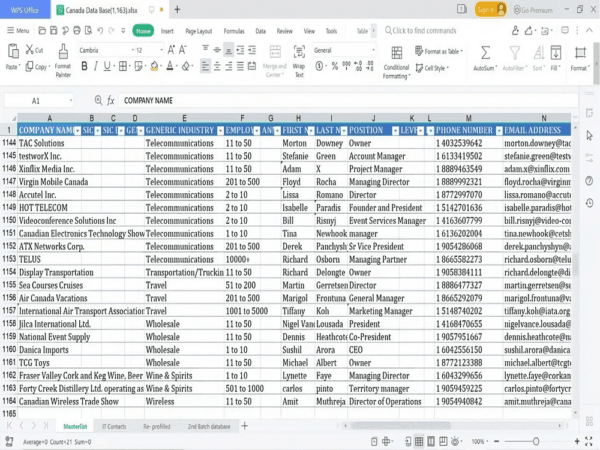 [OFFER] World wide global B2B and B2C email list database - Image 6