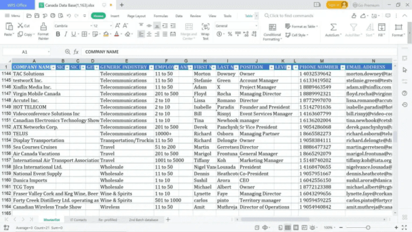 [OFFER] World wide global B2B and B2C email list database - Image 10