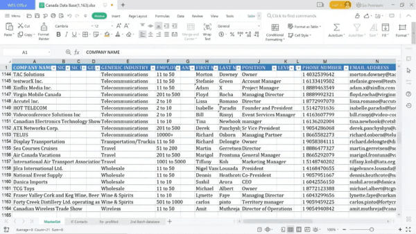 [OFFER] World wide global B2B and B2C email list database - Image 9